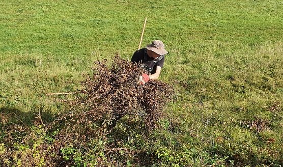 Arbeitseinsatz des BUND (Foto: Bodo Schwarzberg)