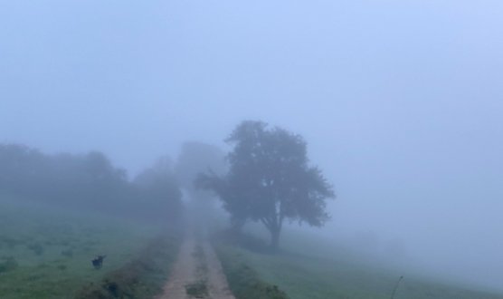 Der Herbst hält sichtbar Einzug (Foto: oas) Der Herbst hält sichtbar Einzug (Foto: oas)