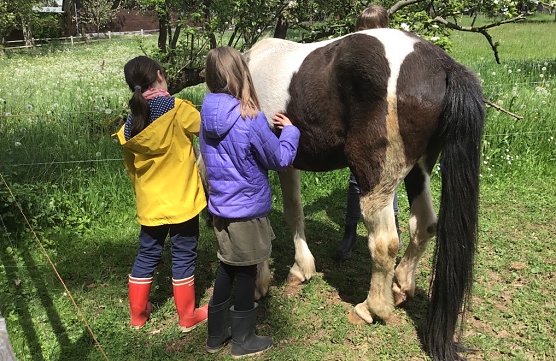 Herbstferiencamp in Harzrigi mit kleinen Hexen und viel Spaß (Foto: T.Hesse) Herbstferiencamp in Harzrigi mit kleinen Hexen und viel Spaß (Foto: T.Hesse)