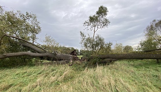 Weiter k&uuml;hles Herbstwetter (Foto: oas)