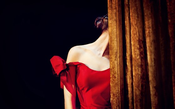 Liederabend in der Traditionsbrennerei (Foto: Agentur)