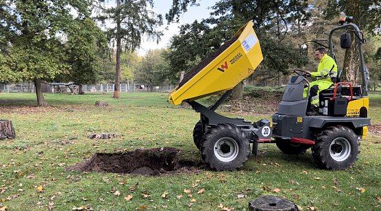 Baumpflanzungen im Stadtpark (Foto: Stadtverwaltung Nordhausen) Baumpflanzungen im Stadtpark (Foto: Stadtverwaltung Nordhausen)