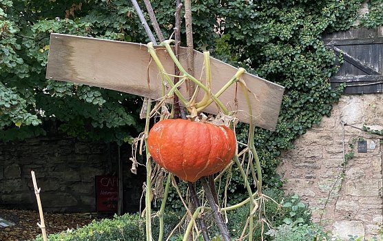 Die freundlichen Herbsttage sind vorbei (Foto: oas)