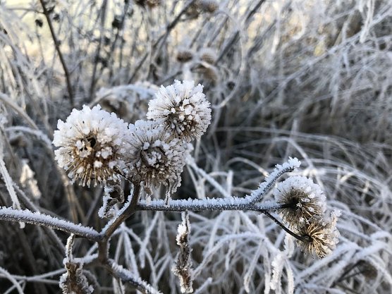 Wetterbild (Foto: agl) Wetterbild (Foto: agl)