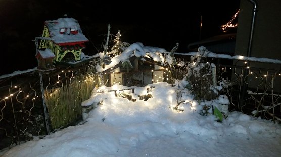 Winterwald im S&uuml;dharz (Foto: Doris Berberich)