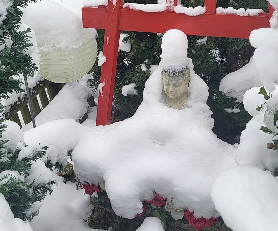 Buddha im Schnee in Bad Frankenhausen (Foto: Simone Klein) Buddha im Schnee in Bad Frankenhausen (Foto: Simone Klein)