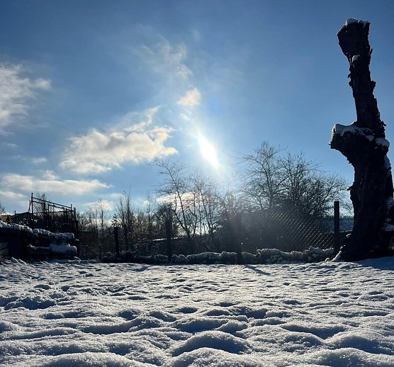 Die Natur zeigt zur Adventszeit seine sch&ouml;nste Pracht  (Foto: Luisa Wulf)