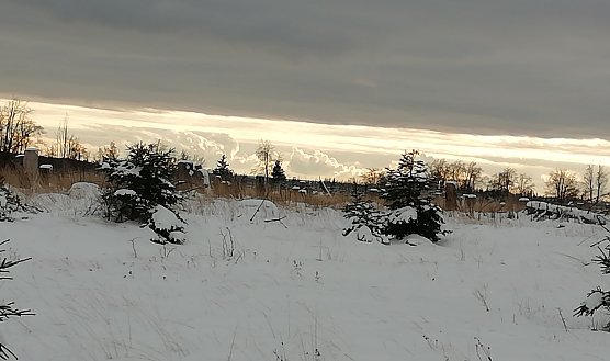 Sophienhof heute Morgen (Foto: Wolfgang J&ouml;rgens)