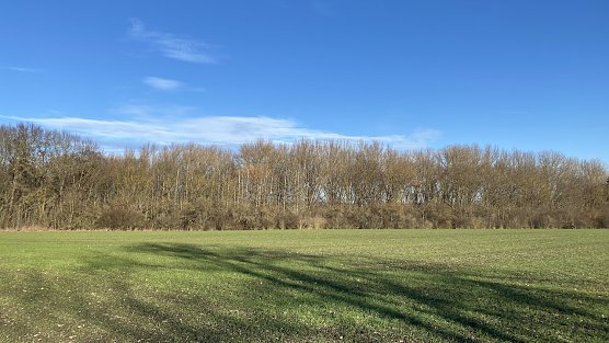 Am Badew&auml;ldchen bei Bad Langensalza (Foto: oas)