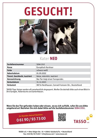Steckbrief Kater Neo (Foto: K. Jödicke) Steckbrief Kater Neo (Foto: K. Jödicke)