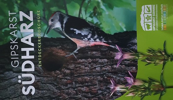 Der Landschaftspflegeverband S&uuml;dharz-Kyffh&auml;user e.V. ist Herausgeber der Brosch&uuml;re "Gipskarst S&uuml;dharz". (Foto: Bodo Schwarzberg)