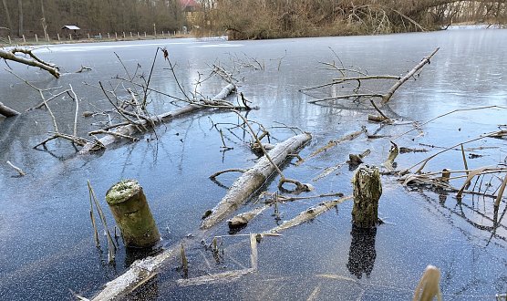 Auch an den Langensalzaer B&ouml;hmenteichen bleibt der Frost erhalten (Foto: oas)