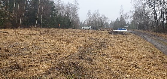 Die gemähte Bergwiese im ehemaligen Grenzstreifen vor der Mahd (Foto: Bodo Schwarzberg) Die gemähte Bergwiese im ehemaligen Grenzstreifen vor der Mahd (Foto: Bodo Schwarzberg)