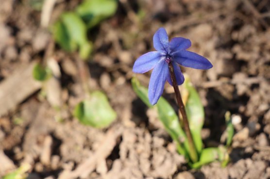 Wetterbild (Foto: agl) Wetterbild (Foto: agl)
