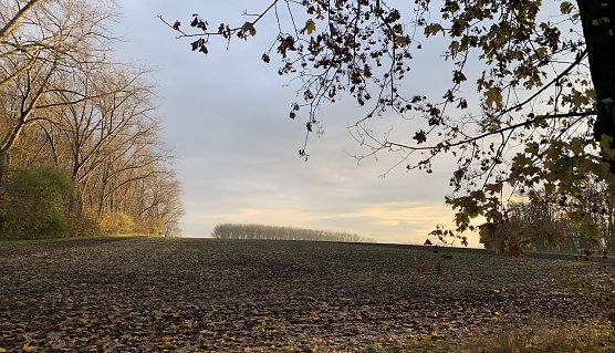 Wetter (Foto: Eva Maria Wiegand) Wetter (Foto: Eva Maria Wiegand)