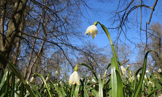 Wetterbild (Foto: agl)