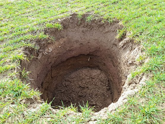 Erdf&auml;lle auf Feldern bei Gro&szlig;leinungen (Foto: Armin Hoch)