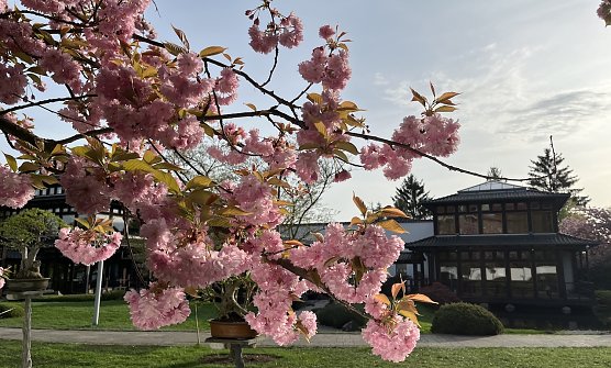 Deutliche Abkühlung in den nächsten Tagen (Foto: oas) Deutliche Abkühlung in den nächsten Tagen (Foto: oas)