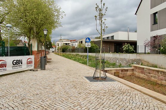 Bl&uuml;hstreifen auf dem Weg des alten M&uuml;hlgrabens an der Wiedigsburg (Foto: agl)
