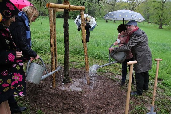 Die Gie&szlig;kannen wurden am "Baum der Freundschaft" im Park Hohenrode gestern nur symbolisch geleert (Foto: agl)