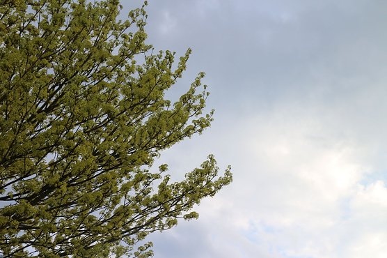 Wetterbild (Foto: agl)