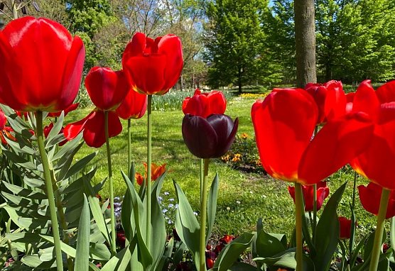 Wetter (Foto: Eva Maria Wiegand) Wetter (Foto: Eva Maria Wiegand)