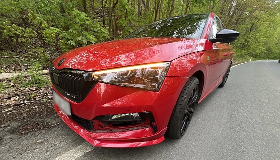 Ein Skoda kollidierte mit eine jungen Rehbock (Foto: S.Dietzel) Ein Skoda kollidierte mit eine jungen Rehbock (Foto: S.Dietzel)