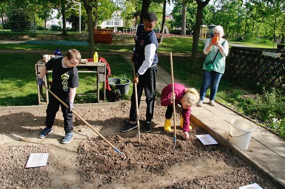 Sellerie und Lauch auf Sechs - im Pflanzplan hat jedes Gem&uuml;se seinen Ort und seine Zeit (Foto: agl)