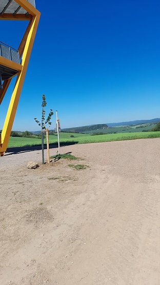 Wie versprochen: K&uuml;bel und M&uuml;ll wurden entfernt (Foto: Andreas Heise)