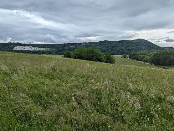 Blick von der Appenr&ouml;der Kirche aus &uuml;ber das Abbaugebiet links und der bereits renaturierte Teil rechts, die Kelle befindet sich jenseits der Ortsverbindungsstra&szlig;e Appenrode - Woffleben, also weit entfernt und in anderer Richtung des Tagebaus R&uuml;sselsee (Foto: privat)