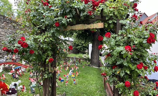 Mitten in der Kur- und Rosenstadt Bad Langensalza (Foto: oas) Mitten in der Kur- und Rosenstadt Bad Langensalza (Foto: oas)