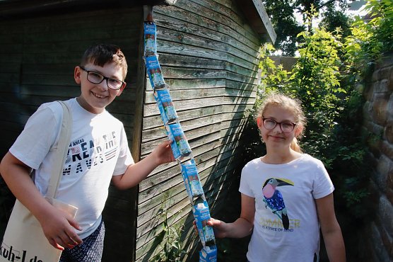 Das Fallrohr Marke Eigenbau funktioniert bestens (Foto: agl) Das Fallrohr Marke Eigenbau funktioniert bestens (Foto: agl)