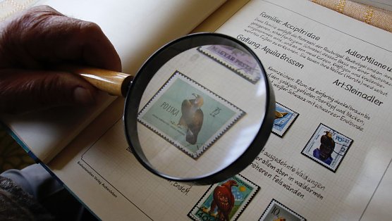 Briefmarken muss man nicht allein im stillen K&auml;mmerlein sammeln, im Gegenteil - die Philatelie hilft gegen die Einsamkeit, meinen die Nordh&auml;user Briefmarkensammler (Foto: agl)