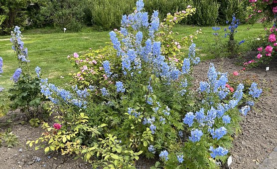 Schauer und K&uuml;hle bleiben weiter wetterbestimmend (Foto: oas)