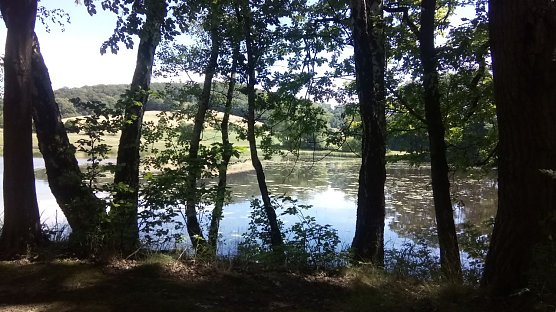 Einen Ausflug wert: Steinsee (Foto: Kurt Frank)