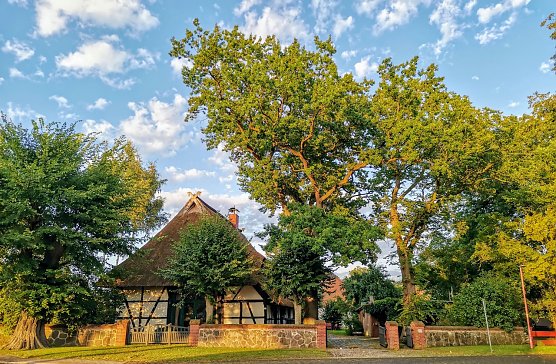 Im l&auml;ndlichen Mecklenburg, unweit von Schwerin in der Gemeinde Plate (Foto: Gerald Sch&uuml;tze)
