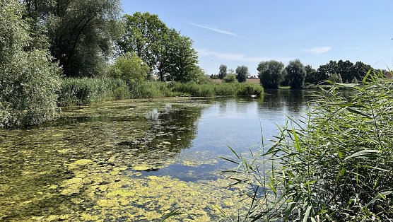 Am Opfermoor in Niederdorla (Foto: oas) Am Opfermoor in Niederdorla (Foto: oas)