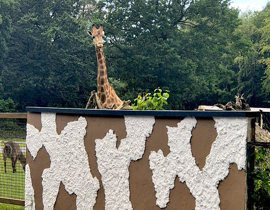 Serengeti Park in Hodenhagen (1) (Foto: Familie Steinecke)