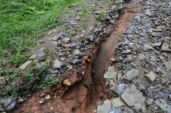 Stellenweise hat das Wasser tiefe Gr&auml;ben in die Gehwege des Parks Hohenrode gezogen (Foto: F&ouml;rderverein Park Hohenrode)