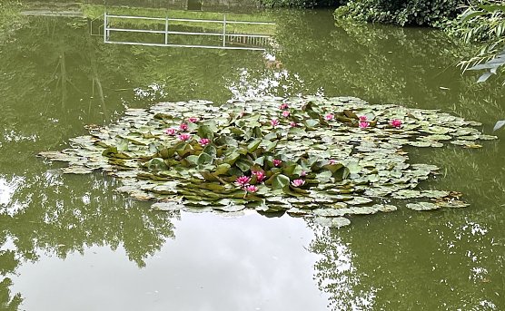 Ruhiges Hochdruckwetter (Foto: oas) Ruhiges Hochdruckwetter (Foto: oas)