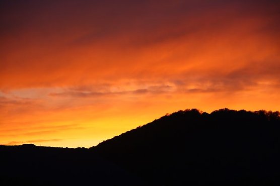 Untergegangen (Foto: B. Peter)