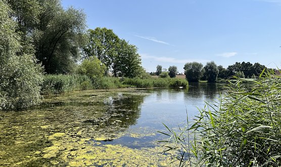 Gewitterneigung nimmt wieder zu (Foto: oas) Gewitterneigung nimmt wieder zu (Foto: oas)
