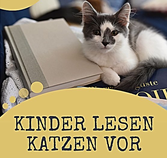 Kinder lesen Katzen vor (Foto: Stadt Nordhausen) Kinder lesen Katzen vor (Foto: Stadt Nordhausen)