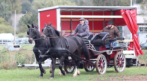Die drei&szlig;igste S&uuml;dharz Rallye begeisterte die Kutsch- und Pferdefreunde (Foto: S.Backhaus)