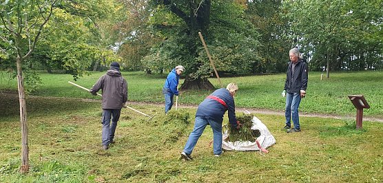  M&auml;hen f&uuml;r mehr Blumen und Wildbienen im kommenden Jahr: Acht Aktive pflegten die Streuobstwiese des Villenparks Hohenrode. (Foto: B.Schwarzberg)