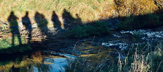 Am Helme-Polder bei Sundhausen gab es heute eine Begehung zum Thema Hochwasserschutz (Foto: agl) Am Helme-Polder bei Sundhausen gab es heute eine Begehung zum Thema Hochwasserschutz (Foto: agl)
