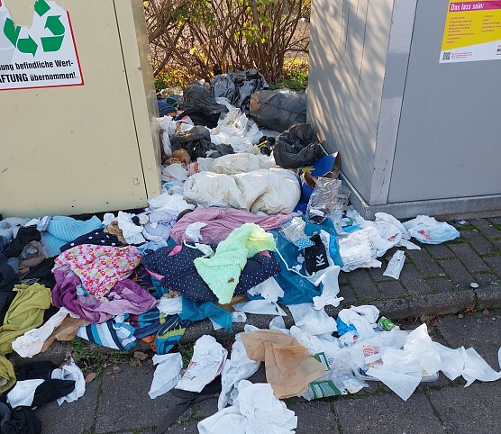 Die Aufnahme entstand an Containerstandort An der Bleiche (Foto: B.Steinmetz)