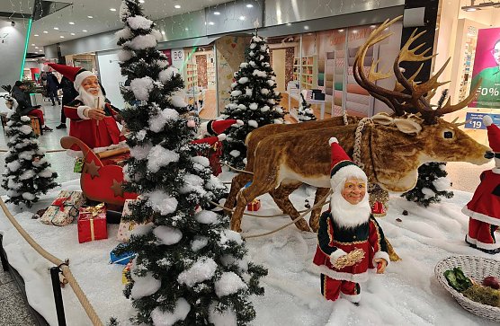 Weihnachtsvorbereitungen in Nordhausen (Foto: P.Blei)