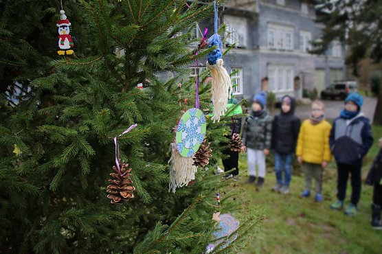 Die Schattenkinder schm&uuml;ckten heute ihren Baum im Park Hohenrode (Foto: F&ouml;rderverein Park Hohenrode)