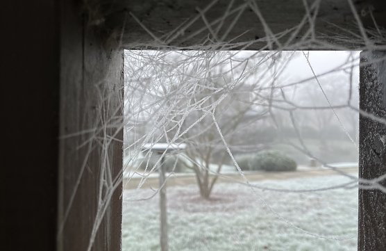 Nachts bleibt es frostig (Foto: oas) Nachts bleibt es frostig (Foto: oas)